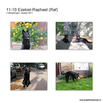 Foto's van ezekiël-Raphaël in de maand oktober